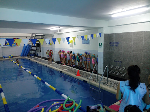 Academia de Natacion Los Parrales