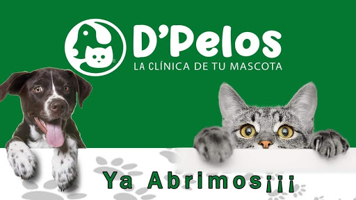 Clínica Veterinaria D'Pelos