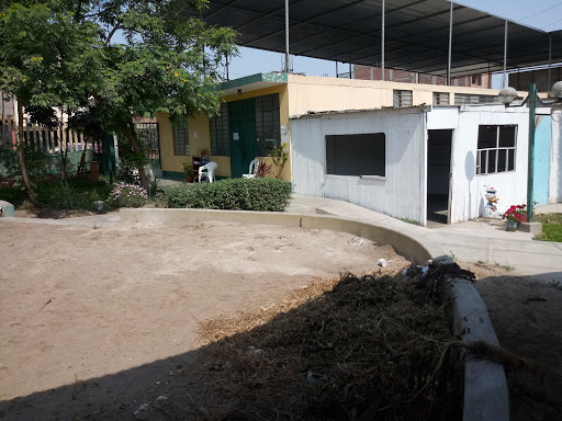 ASOCIACION DE ADJUDICATARIOS DEL AGRUPAMIENTO RESIDENCIAL PACHACAMAC