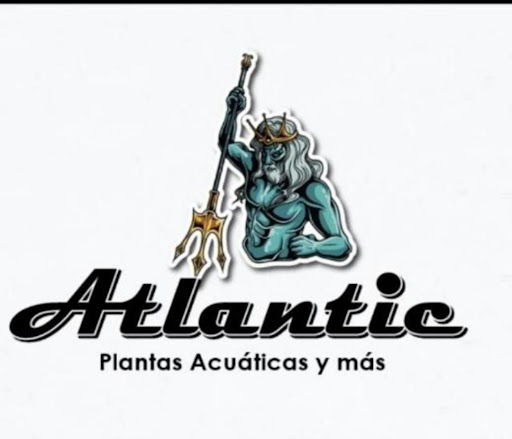 ATLANTIC TIENDA